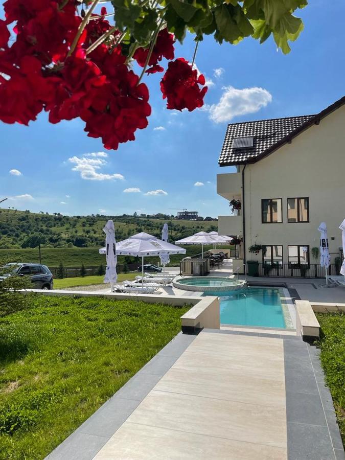 Pensiunea Palace Băile Felix Dış mekan fotoğraf
